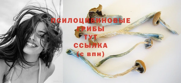 таблы Надым