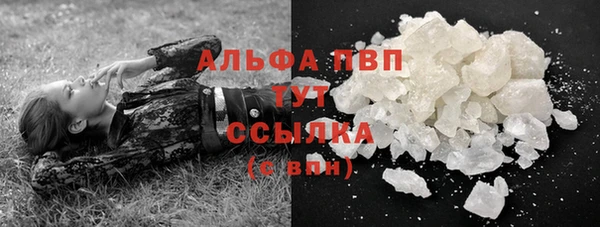 PSILOCYBIN Белая Холуница