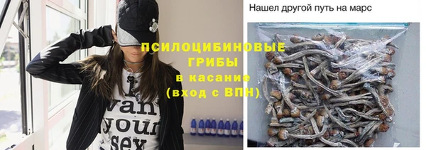 мдма Бежецк