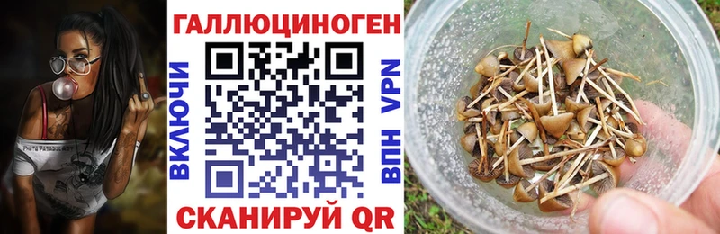 Галлюциногенные грибы мицелий  как найти   Ленинградская 